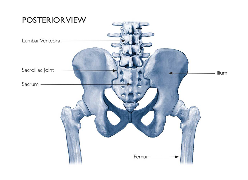 Sacroiliac (SI) Joint